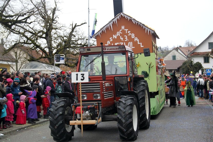 Sarmenstorf Fasnachtsumzug 16.02.2014 (36)
